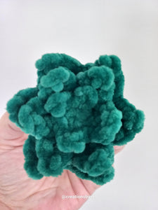Plush succulent